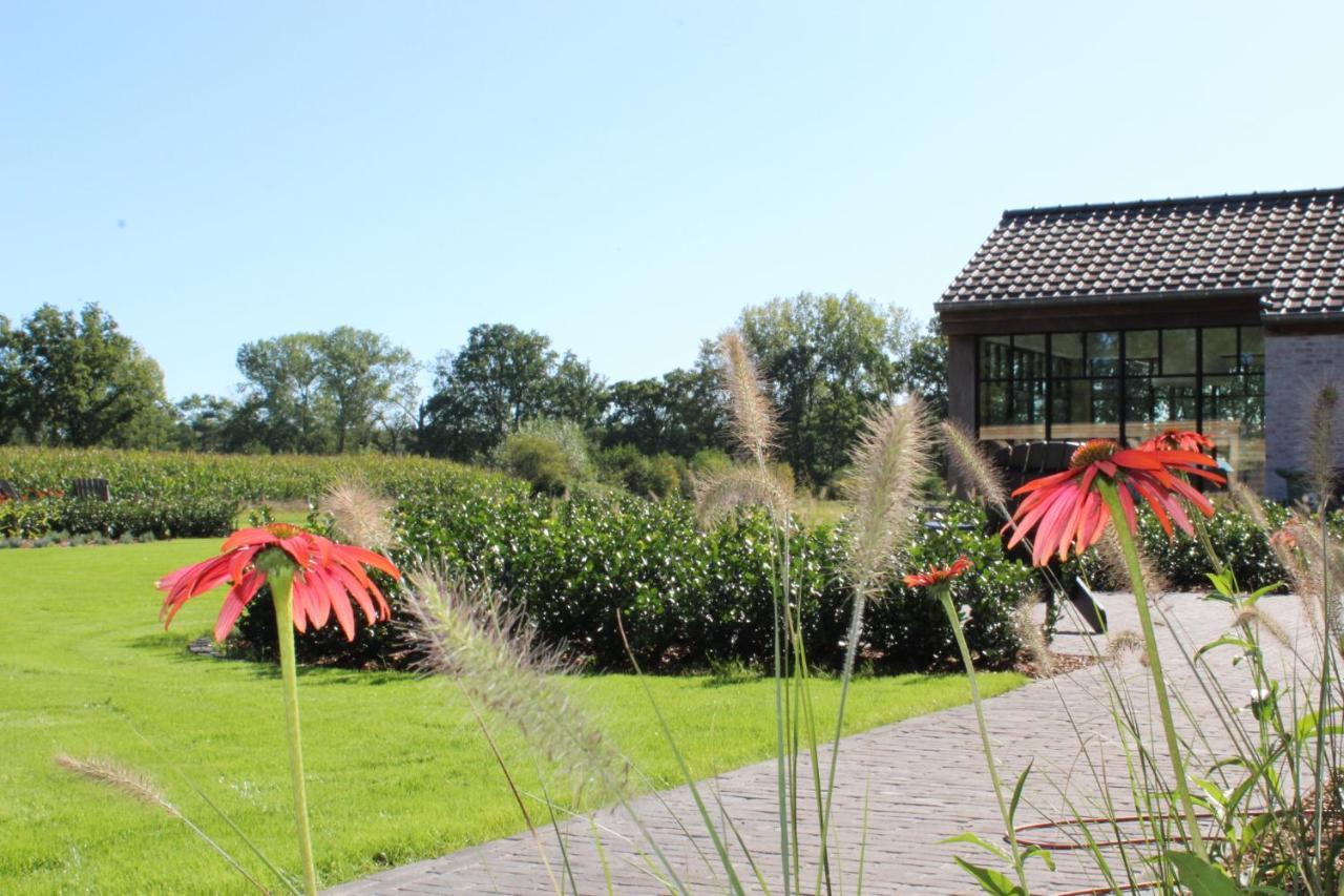 Elvier B&B Mol Exterior foto
